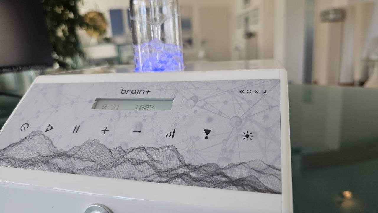 brain+ easy Standardvariante